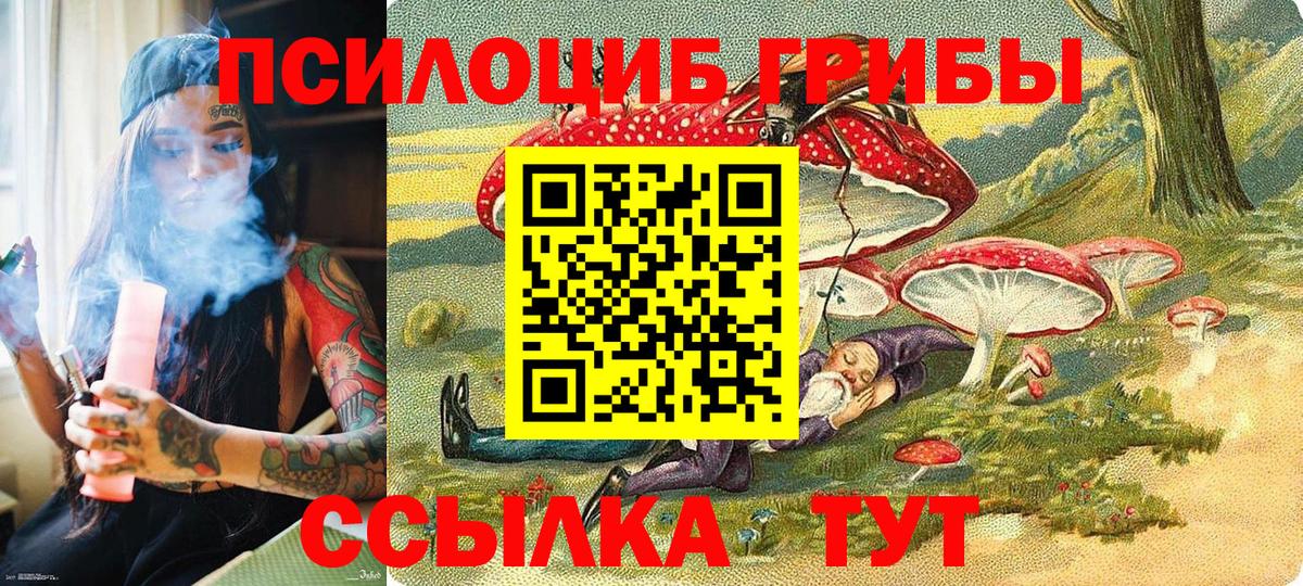 Псилоцибиновые грибы GOLDEN TEACHER Дюртюли