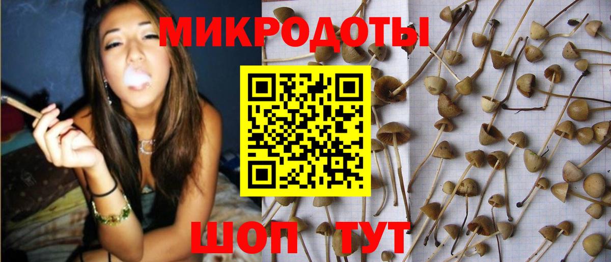 Псилоцибиновые грибы Cubensis  Галлюциногенные грибы мухоморы  Дюртюли  Вход с VPN 